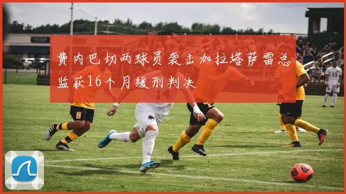 费内巴切两球员袭击加拉塔萨雷总监获16个月缓刑判决